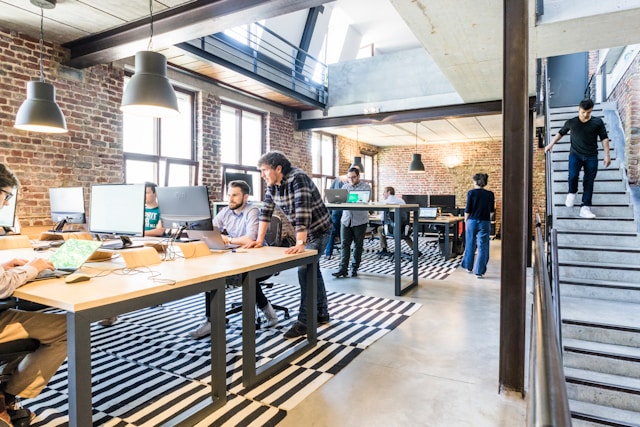 Ortak çalışma alanında dizüstü bilgisayarlarıyla çalışan startup ekibi